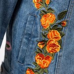 Spring Denim Jacket 2017 Vintage butterfly Tiger Embroidery jacket women long sleeve slim women basic coat streetwear outerwear