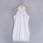 VESTLINDA White Lace Dress Women 2017  Summer Sexy Bodycon Dress Stand Collar Sleeveless Vestidos De Festa Ladies Mini Dresses