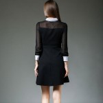 Vestidos Mujer 2016 Fall Winter Women White Collar Sexy Mesh Long Sleeve A Line Black Dress Robe Hiver Femme