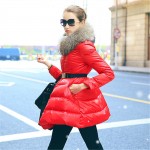 Winter Coat 2016 New Luxury Fur Collar DOWN JACKET Girls Long Jacket Parka Black Size S-XXL Big skirt hem Down coat