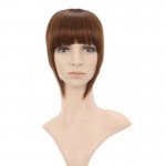 Women's Straight Neat Bangs Fringe Synthetic Hair Extensions Clip in Hair Piece 32 Colors B3-2