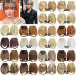 Women's Straight Neat Bangs Fringe Synthetic Hair Extensions Clip in Hair Piece 32 Colors B3-2