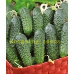 cucumber seeds 100 japan mini cucumber vegetable and fruit seeds for home garden supply Cucumis sativus Linn