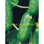 cucumber seeds 100 japan mini cucumber vegetable and fruit seeds for home garden supply Cucumis sativus Linn