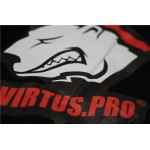 dota2 CSGO VP Virtus.pro clan TI5 game team Men WOMEN pullover thin hoodies cardigan man fitness sweatshirts gaming clothing