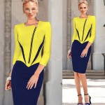 eSale Womens Autumn Winter Long Sleeve Color Block Front Zipper Slim Bodycon Sheath Party Prom Casual Midi Dress CG078