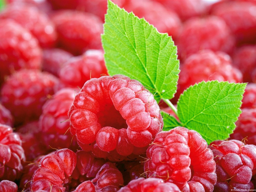 1000pcs-rare-raspberry-seeds-organic-fruit-seeds-green-red-blue-purple-black-raspberry-seeds-for-hom-1997450199