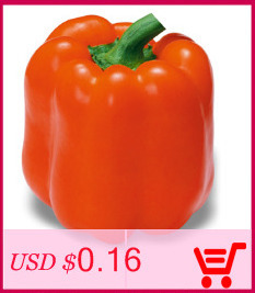 200-seeds-Giant-Spices-Spicy-Red-Chili-Hot-Pepper-Seeds-Plants--potted-bonsai-garden-courtyard-balco-32482294138