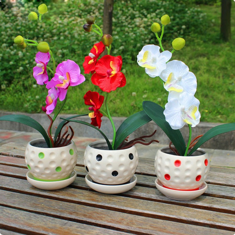 22-varieties-of-Bonsai-pot-Flowers-Seeds-Senior-Ornamental-Orchid-home-garden-Plants-Indoor-200pcs-P-32585150622