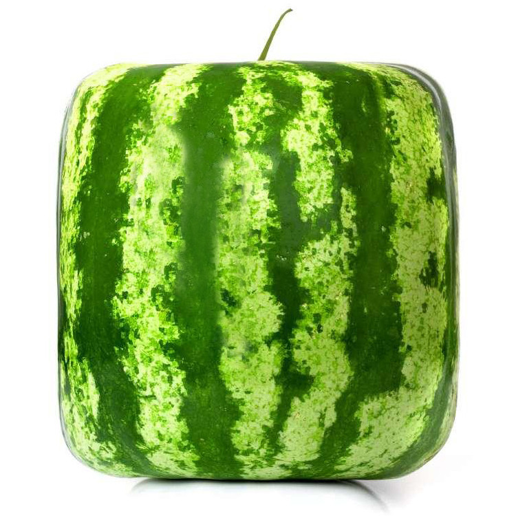 A-Package-50-Pieces-Seeds-Rare-Simple-Geometric-Square-Watermelons-Seeds-Delicious-Chinese-Fruit-Wat-32682757926