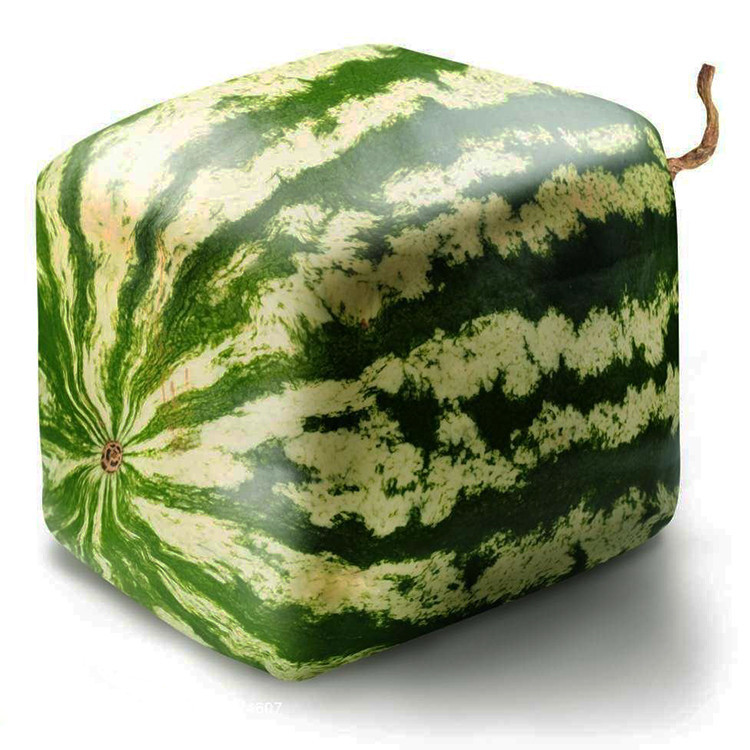 A-Package-50-Pieces-Seeds-Rare-Simple-Geometric-Square-Watermelons-Seeds-Delicious-Chinese-Fruit-Wat-32682757926