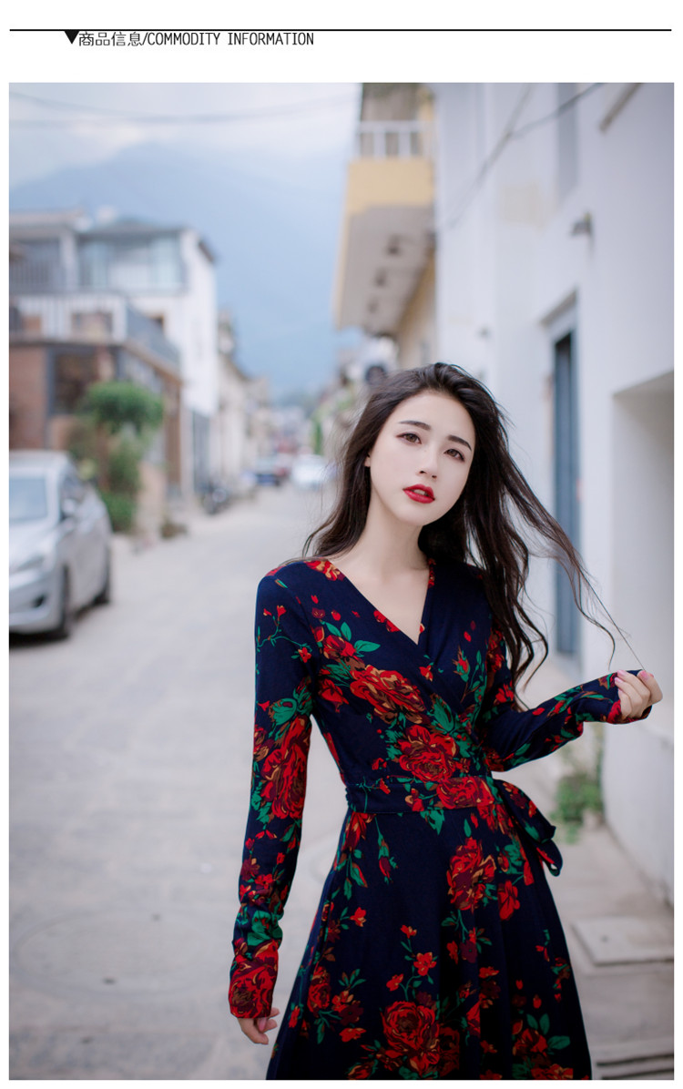 Bohemian-Style-Print-Rose-Dress-Long-Design-V-Neck-Long-Sleeve-Empire-Sexy-Beach-Dress-Boho-Hippies--32787143799