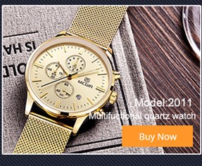 Megir-Mens-24-Hour-Chronograph-Luminous-Waterproof-Stainless-Steel-Strap-Quartz-Watches-Men-Mans-Lux-32739229914