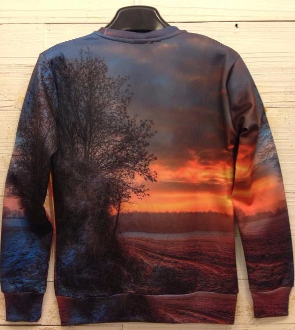 Mr1991INC-Nightfall-Tree-Hoodies-MenWomen-Sweatshirt-3d-Print-Beautiful-Sunset-Glow-Unisex-Hoodies-F-32786771319