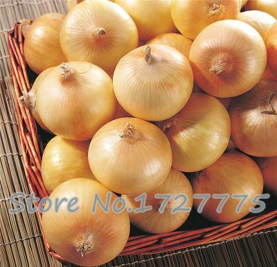 Purple-sacred-fruit-tomato-seeds-vegetables-and-fruits-seed-100-pcs--packing-for-home-garden--farm-p-32439593866