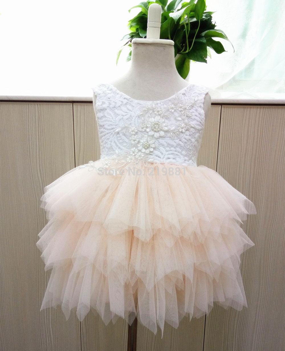 Retail--2017-Girl-summer-lace-princess-tutu-dress--princess-dress--summer-dress-girl--RM03-32705985334