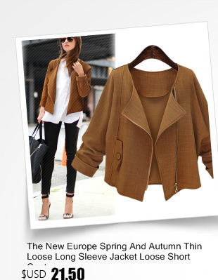 The-New-Europe-Spring-And-Autumn-Thin-Loose-Long-Sleeve-Jacket-Loose-Short-Coat-32590241913