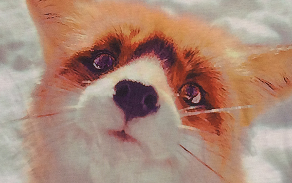 Track-ShipVintage-Retro-Good-Feeling-T-shirt-Top-Tee-Cute-Little-Fox-in-Snow-Snowfield-Watching-You--2047614673