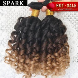 Hot Brazilian Virgin Hair Kinky Curly Virgin Hair 6A Jerry Curly Hair Extension Human Wigs1pc/Lot or mixed length 2Bundles Spark